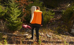 Hunting for a good picture spot