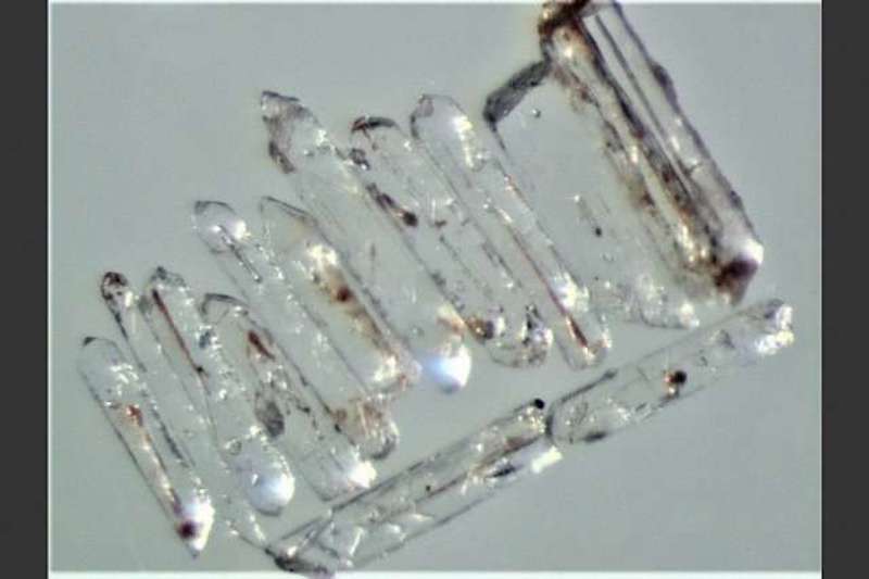 Microscope image of zircon crystals separated for U-Pb isotopic dating from the latest Permian ash bed at Penglaitan. Credit: Jahan Ramezani